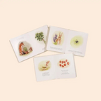 our little adventures box set