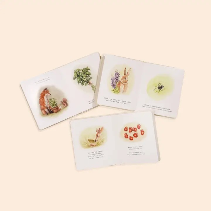 our little adventures box set