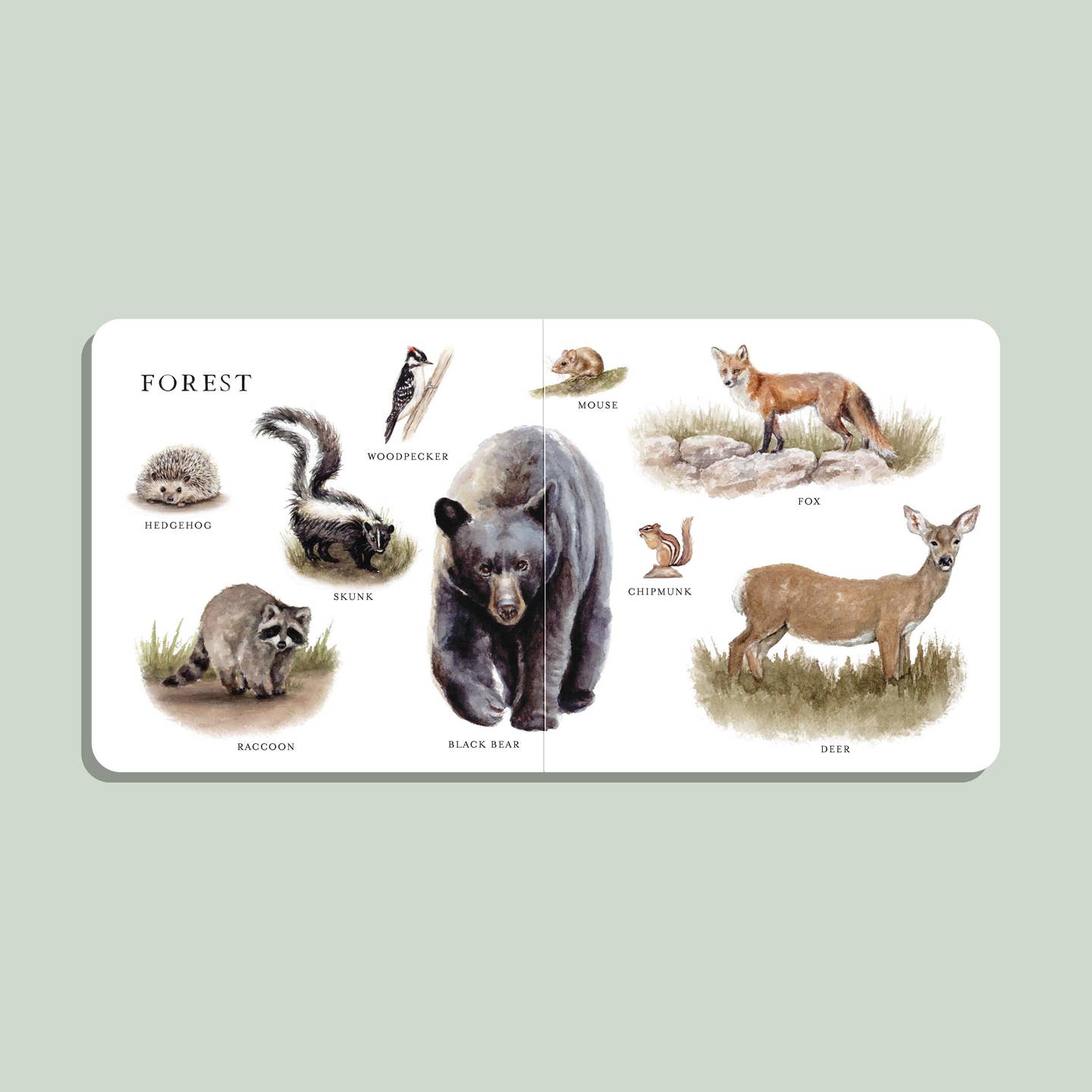 our big book of animals
