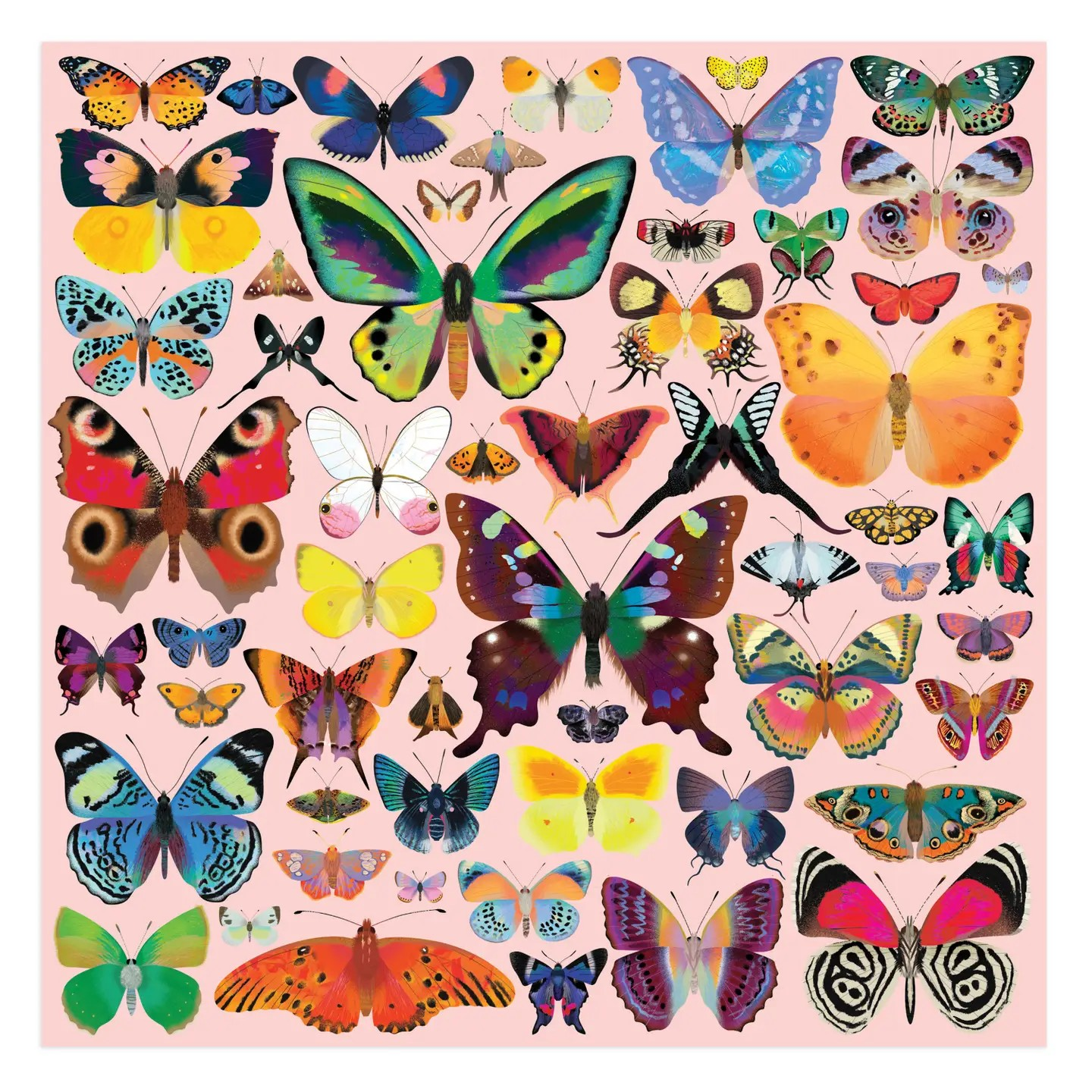 brilliant butterflies 500 piece puzzle