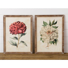  framed peony prints - set of two