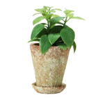 distressed cement planter - small