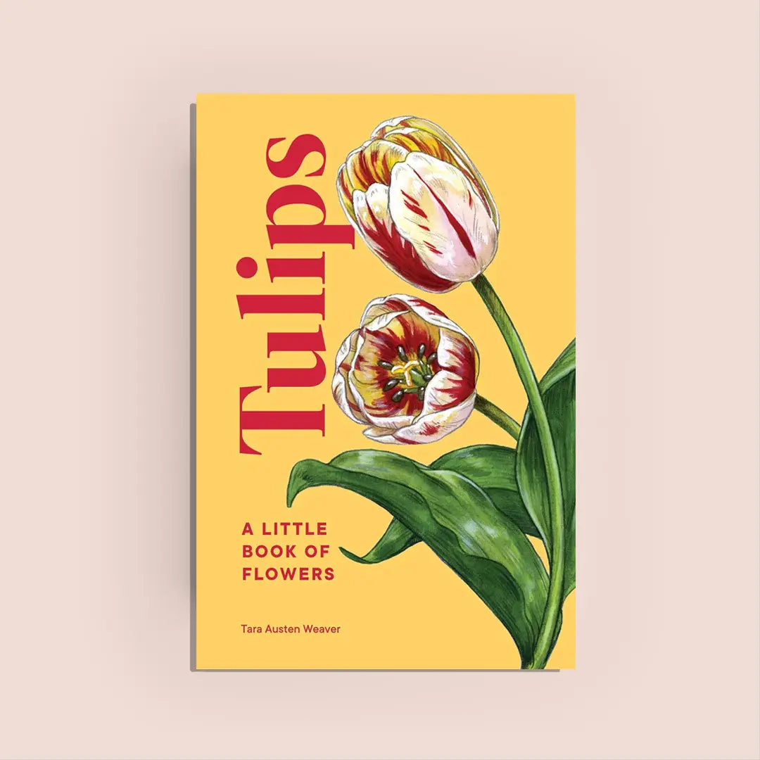 the little book of tulips