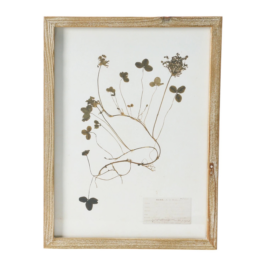 wood framed botanical wall decor - identification
