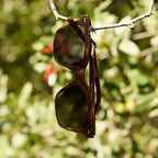 billie - whiskey + grey polarized