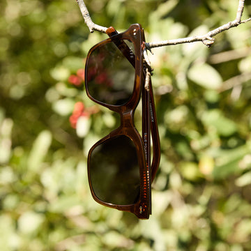 billie - whiskey + grey polarized