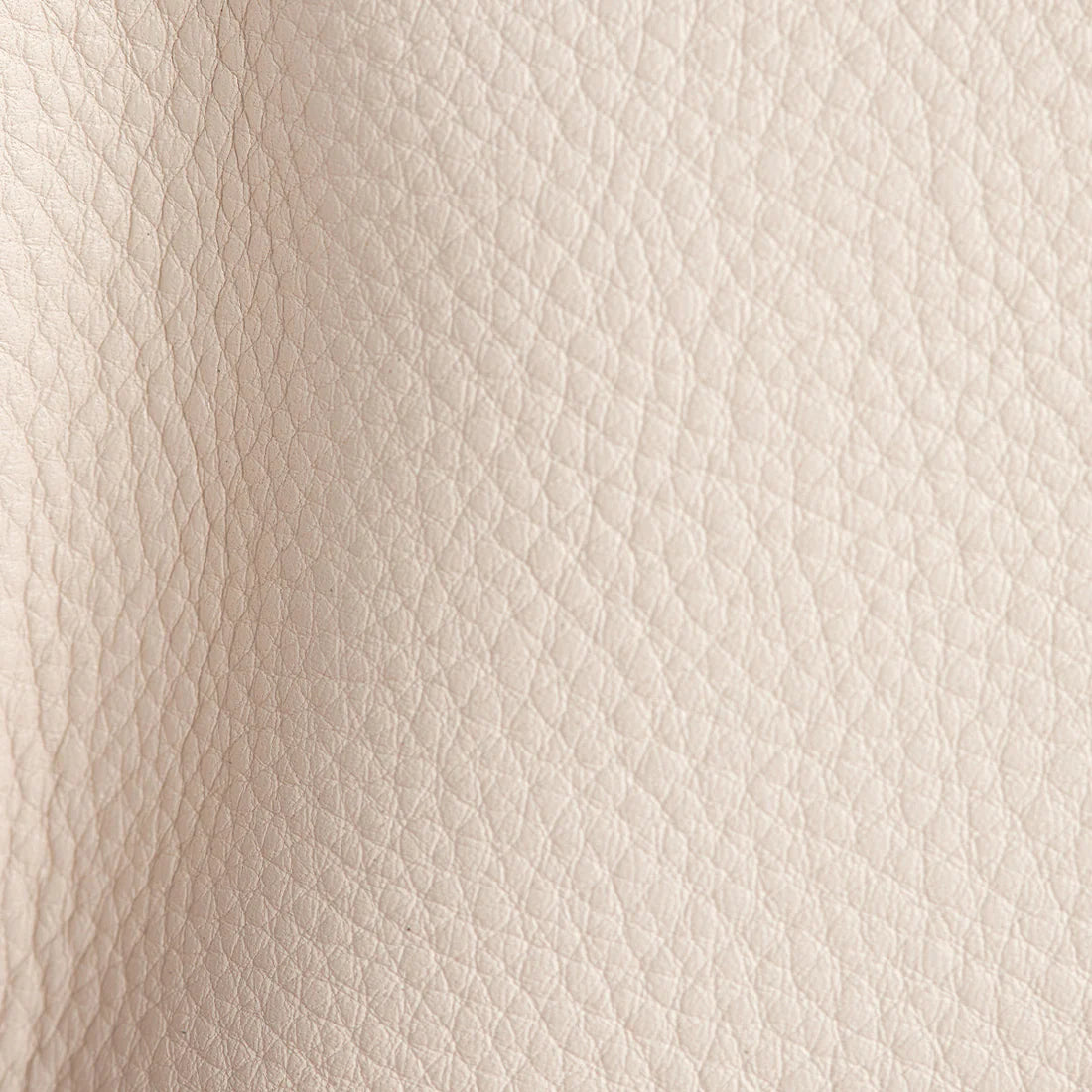 VIP medium in calla lily