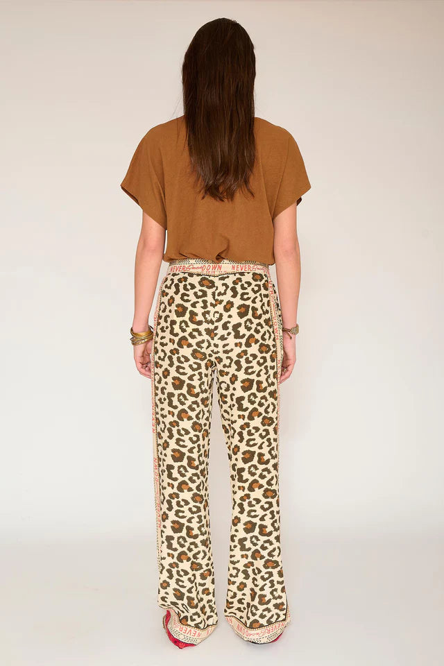 panthera