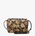 kathryn in desert snake