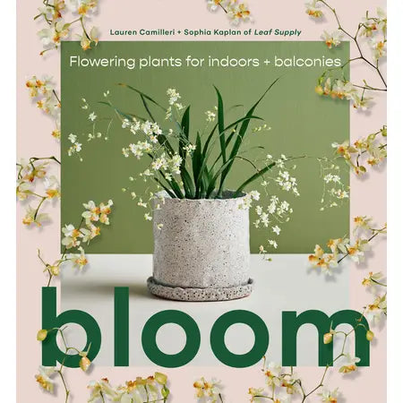bloom