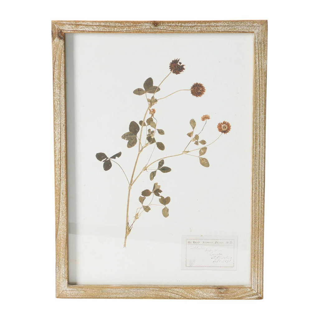wood framed botanical wall decor - identification