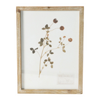 wood framed botanical wall decor - identification