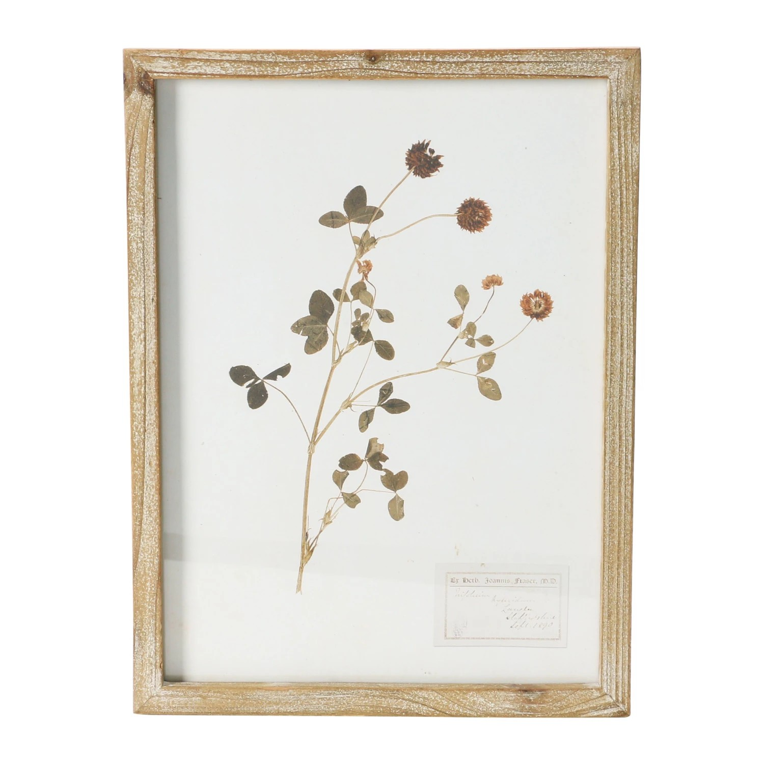 wood framed botanical wall decor - identification