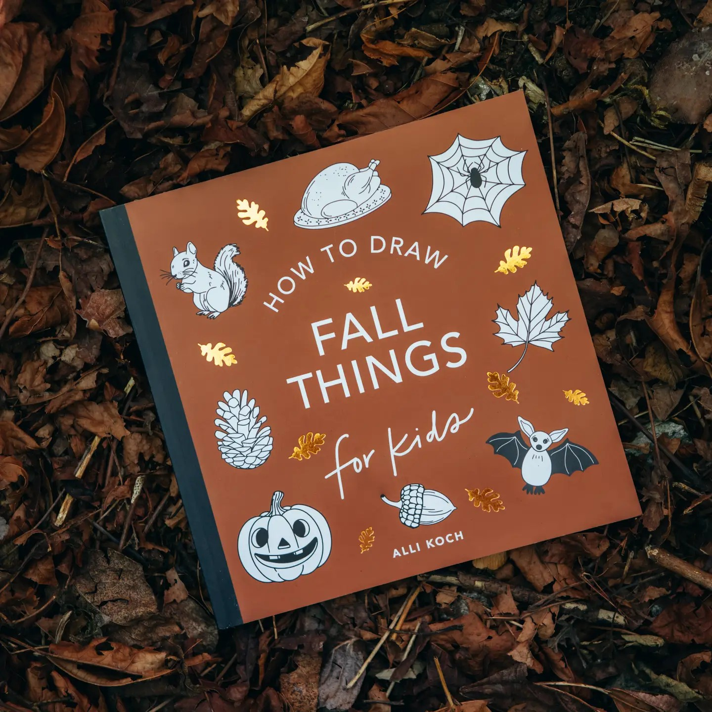 how to draw: fall things