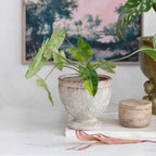 terracotta footed urn