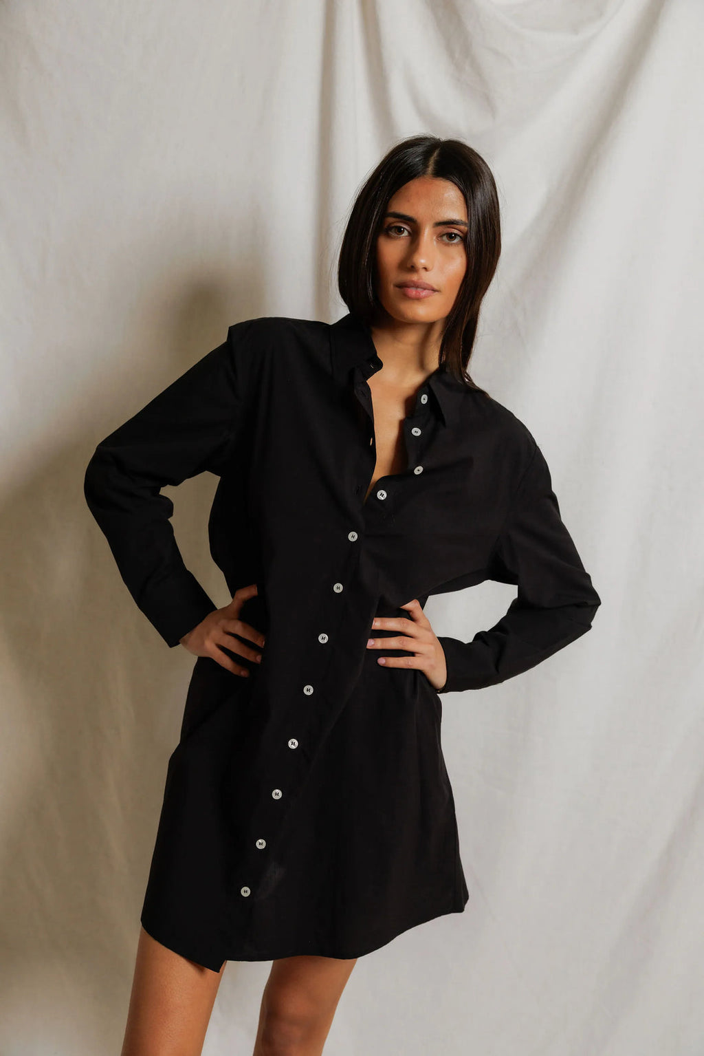 felicia poplin shirt dress