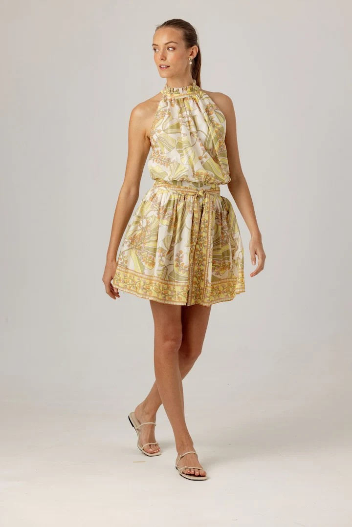 printed lizette dress