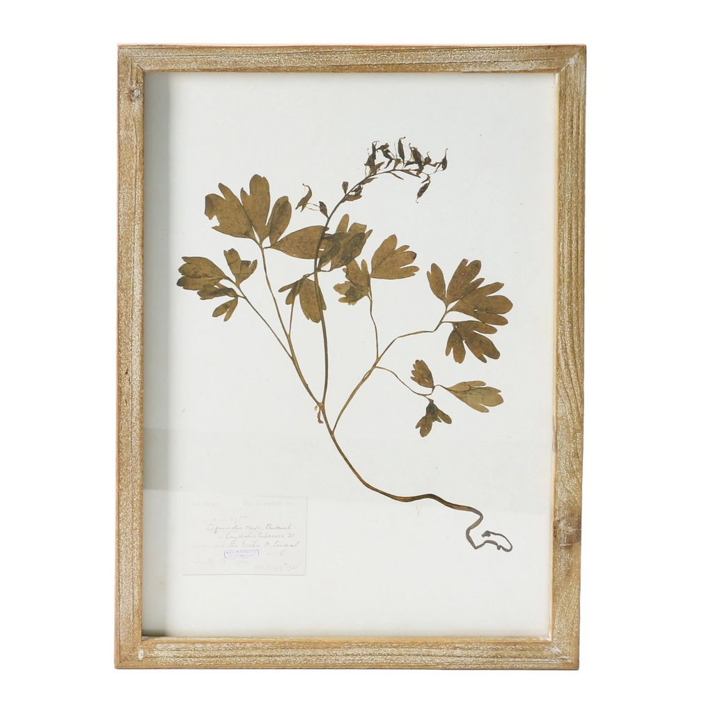 wood framed botanical wall decor - identification