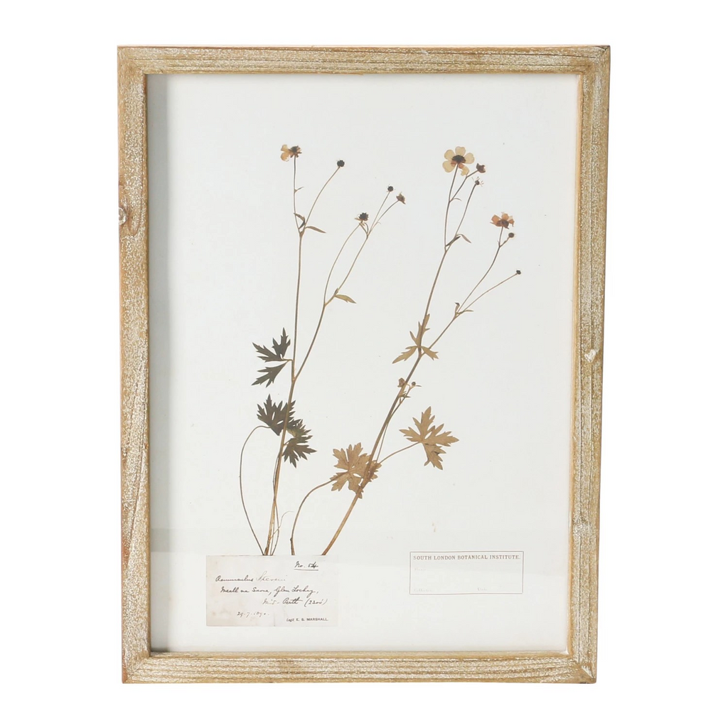 wood framed botanical wall decor - identification