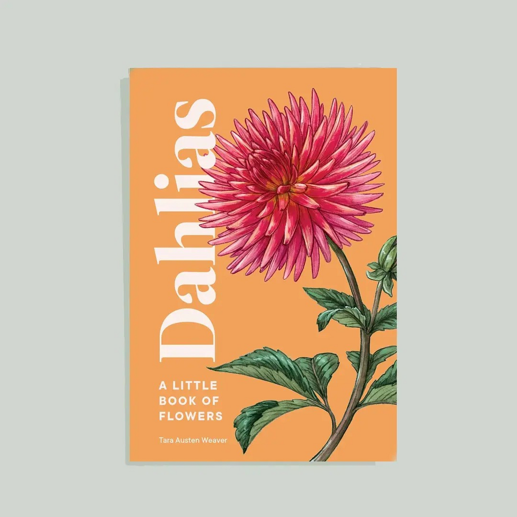 dahlias: a little book of flowers