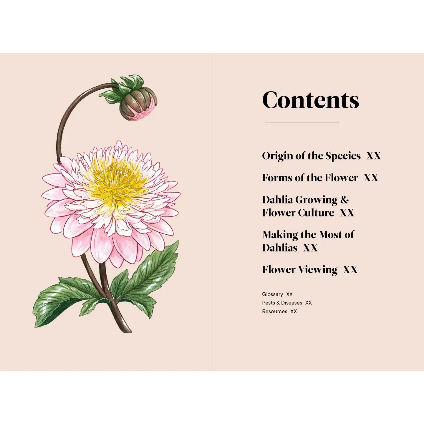 dahlias: a little book of flowers