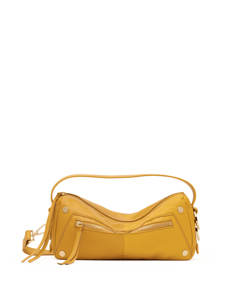 doxie medium in double yellow & gold