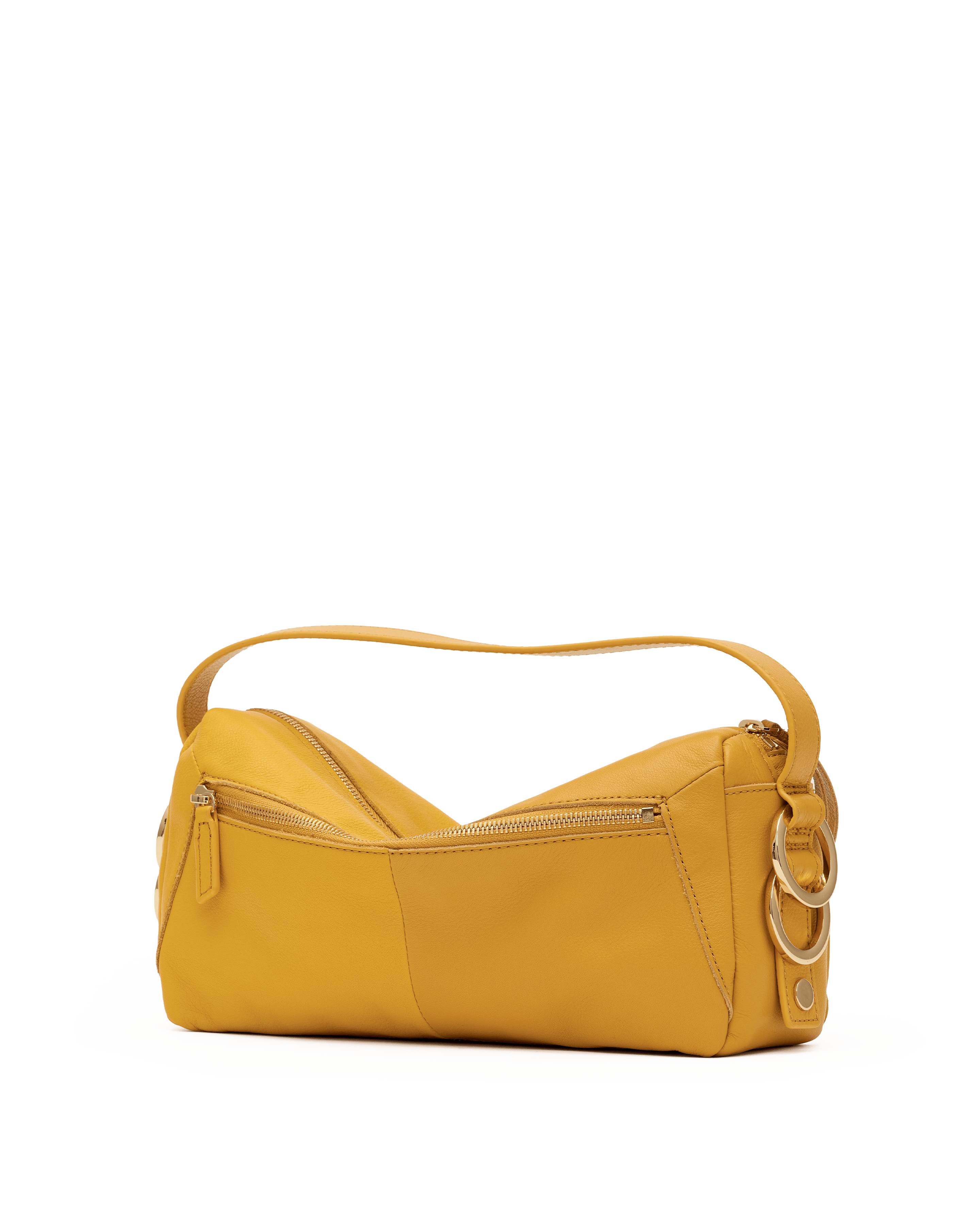 doxie medium in double yellow & gold