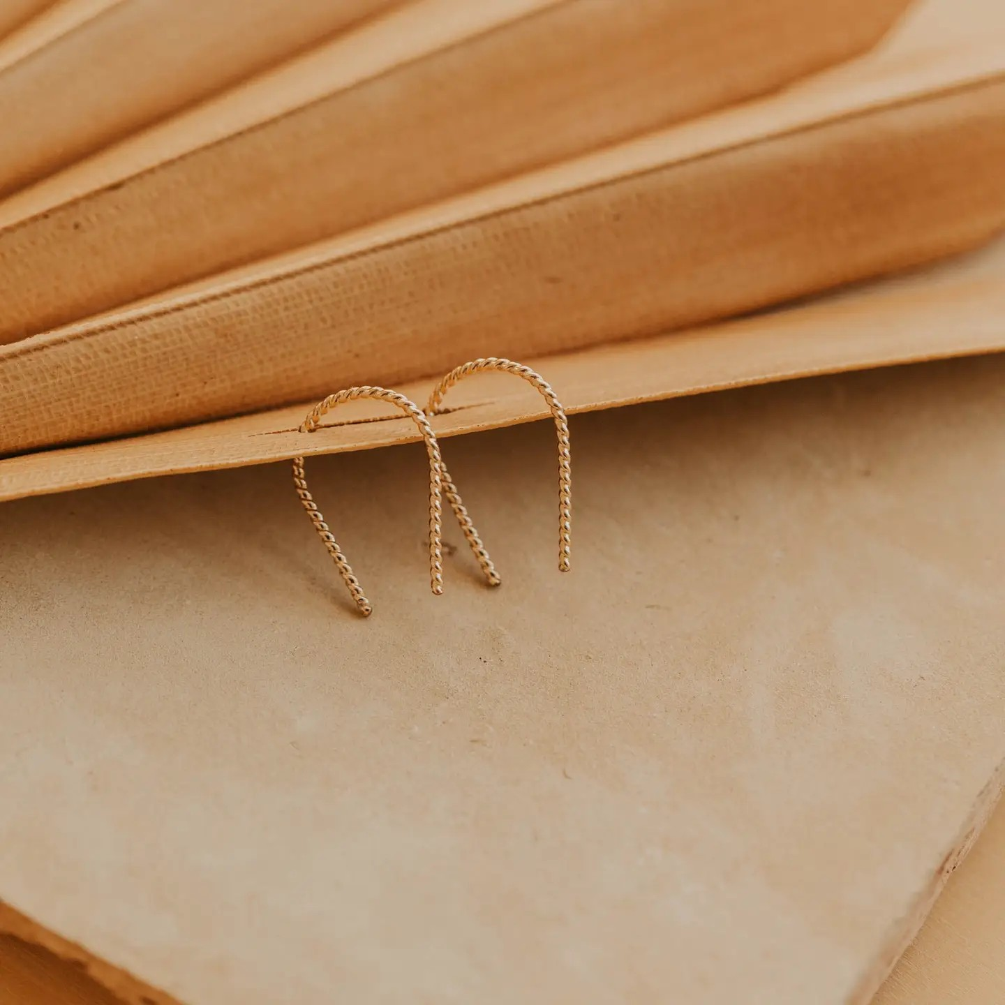 twisted tiny horseshoe earrings