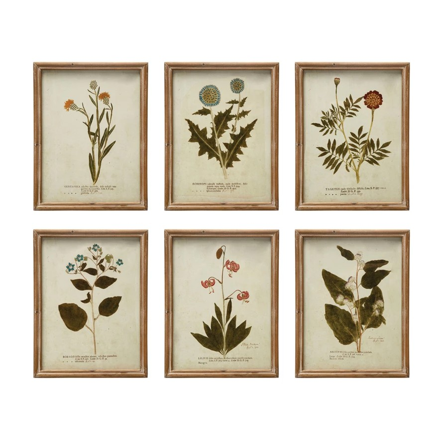 wood framed botanical wall decor - in color
