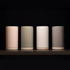 the vase - blush pink