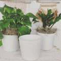 river + road pot