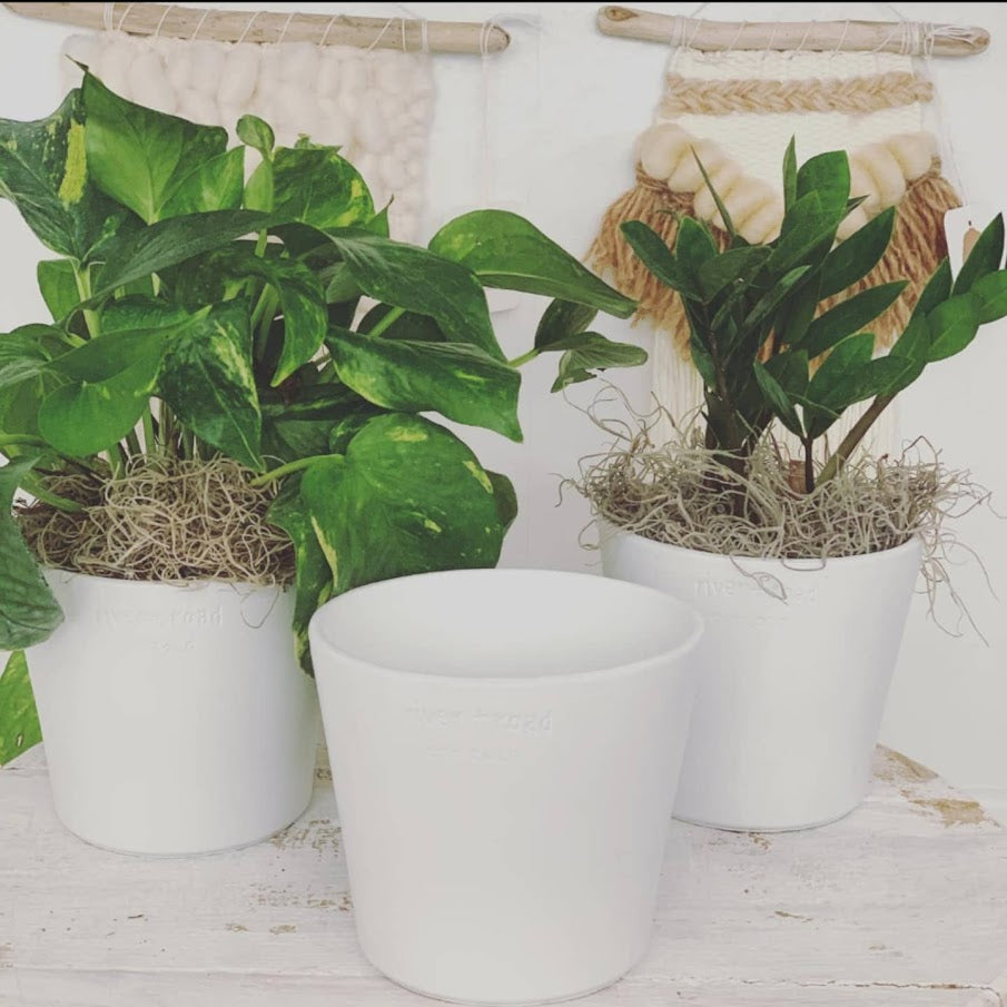 river + road pot