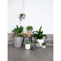 fluted stoneware planter